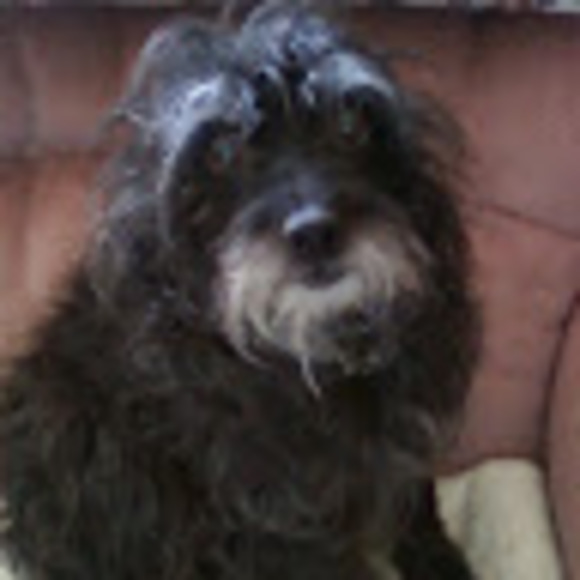 Meet your Posher, Marilyn - Picture 1 of 1